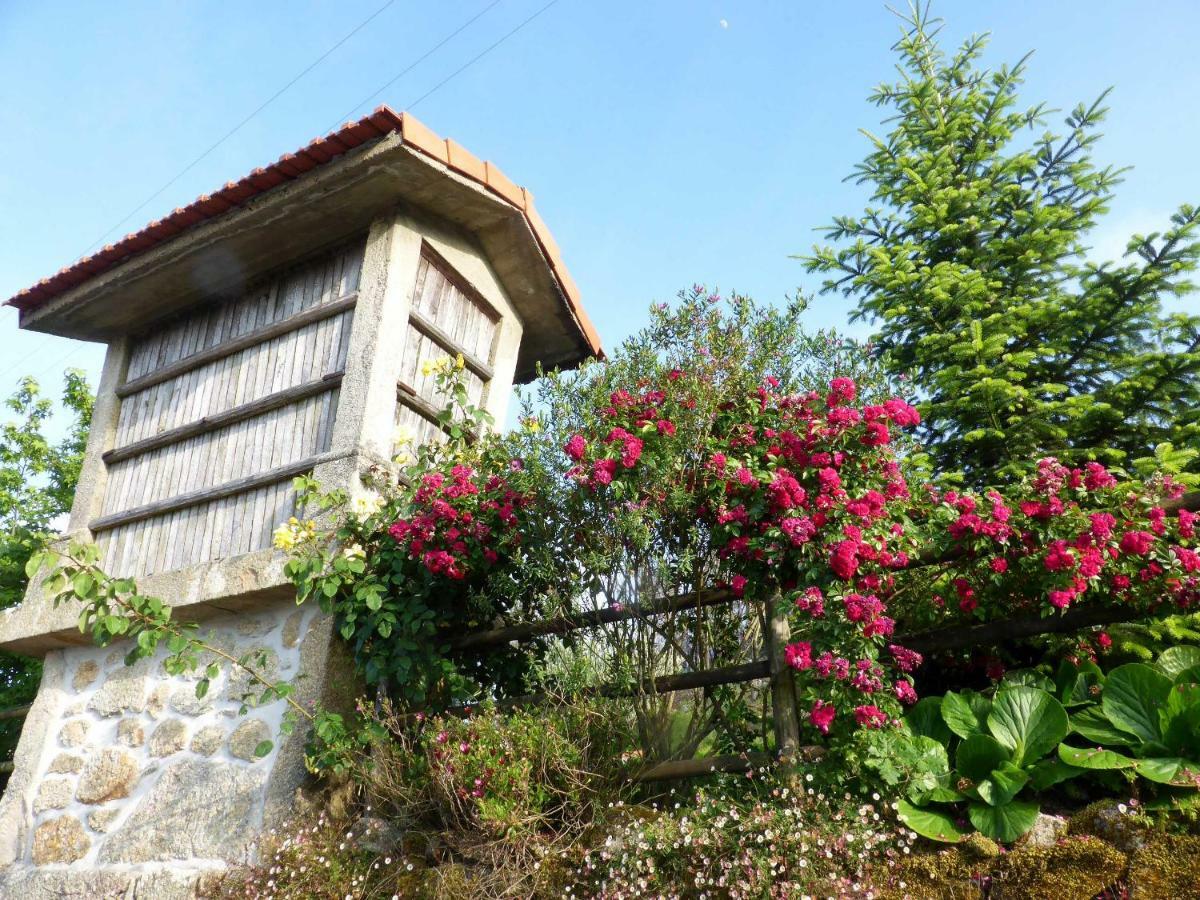 Casa Da Eira Velha Villa Vale de Cambra Exterior photo